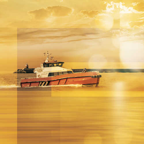 Shipowners' P&I